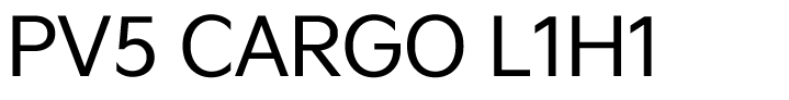 PV5 Cargo L1H1